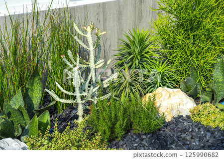 Spring garden at home. Terrace with green plants and trees in small garden. Cozy garden corner with houseplants in pots. Exterior Autumn backyard home. 125990682