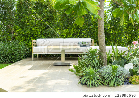Spring garden at home. Terrace with green plants and trees in small garden. Cozy garden corner with houseplants in pots. Exterior Autumn backyard home. Spring garden at home. Terrace with green plants and trees in small garden. Cozy garden corner with houseplants in pots. Exterior Autumn backyard home. 125990686