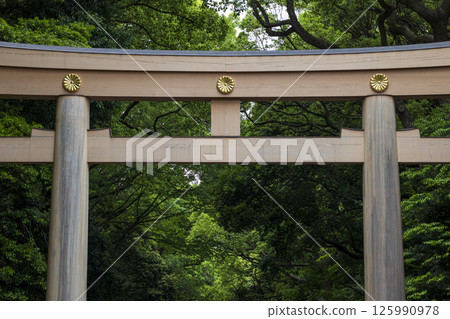 Fresh greenery in early summer and the torii gates of Meiji Shrine Fresh greenery in early summer and the torii gates of Meiji Shrine 125990978