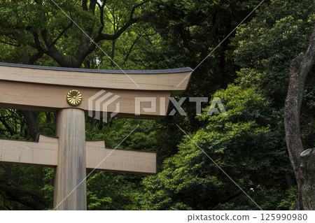 初夏的新綠與明治神宮的鳥居 初夏的新綠與明治神宮的鳥居 125990980