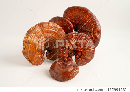 Lingzhi or Reishi mushroom with capsules, organic natural healthy food. Lingzhi or Reishi mushroom with capsules, organic natural healthy food. 125991381