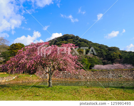 H城遺址和Shizukiyama 125991493