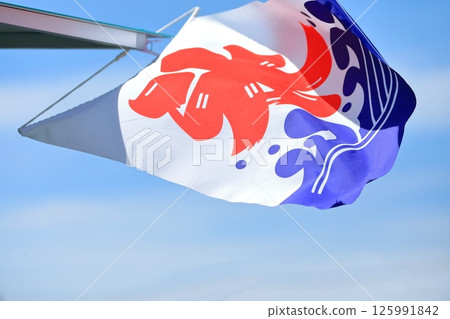 Ice flag image Ice flag image 125991842