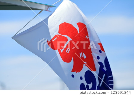 Ice flag image Ice flag image 125991844