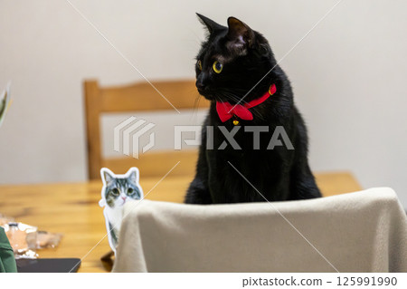 Black cat Black cat 125991990