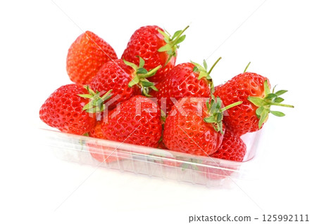 一護（越後姬） 125992111