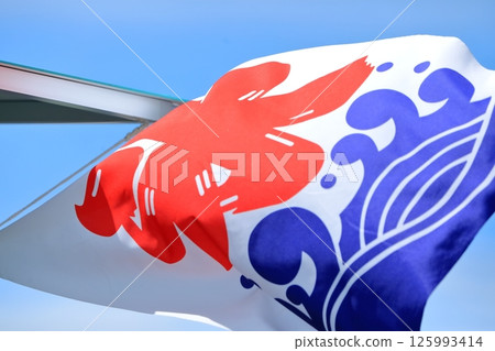 Ice flag image Ice flag image 125993414