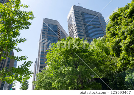 Scenery of an office district surrounded by fresh greenery 125993467