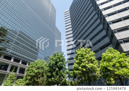 Scenery of an office district surrounded by fresh greenery Scenery of an office district surrounded by fresh greenery 125993478