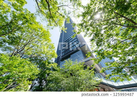 Scenery of an office district surrounded by fresh greenery 125993487
