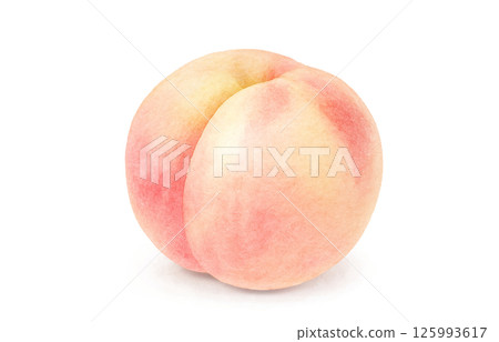 桃子插畫水彩白桃子 125993617