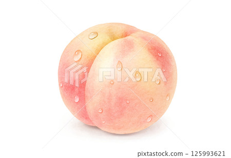 Peach illustration watercolor white peach peach 125993621