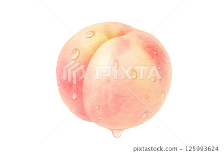 桃子插畫水彩白桃子 125993624