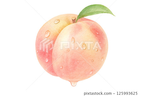 桃子插畫水彩白桃子 桃子插畫水彩白桃子 125993625