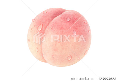 桃子插畫水彩白桃子 125993628