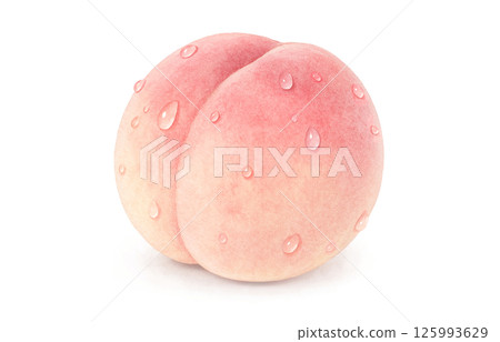 桃子插畫水彩白桃子 125993629