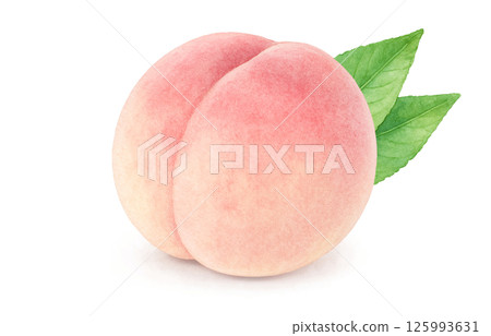 桃子插畫水彩白桃子 125993631