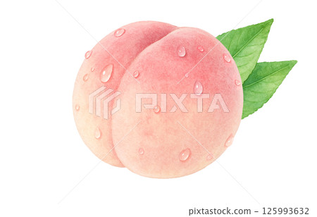 桃子插畫水彩白桃子 125993632