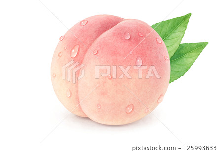 桃子插畫水彩白桃子 125993633