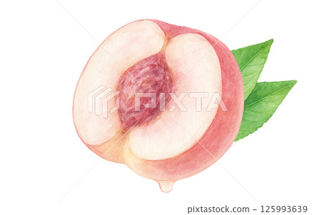 Peach illustration watercolor white peach peach 125993639