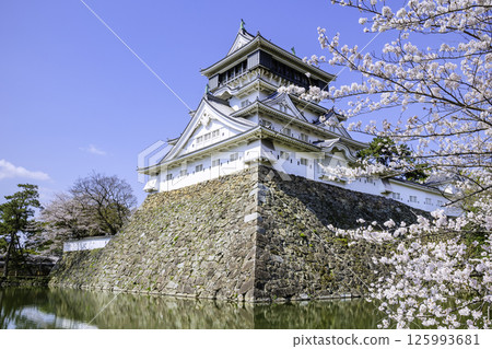 小倉城（福岡縣北九州市）櫻花盛開 125993681