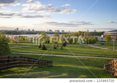 Shot of the trees in the garden blooming with leaves and flowers 125993720