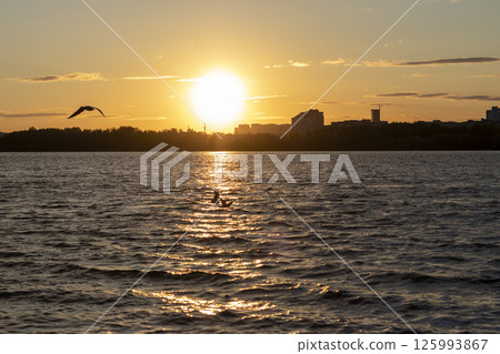 Sun is setting by the water and reflecting in it. Silhouette of the seagulls Sun is setting by the water and reflecting in it. Silhouette of the seagulls 125993867