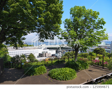 可以看到海港的山丘公園（橫濱市） 125994671