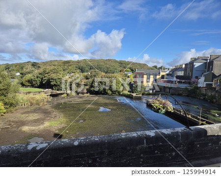 Forests and swamps of Ireland background Forests and swamps of Ireland background 125994914