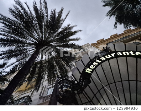 Two palm trees as seen from the bottom Two palm trees as seen from the bottom 125994930