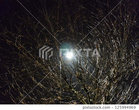 Lamp light rays coming through tree branches creating tunnel vortex illusion 125994969