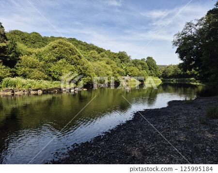Highland Lake with Trees and Grass Under Cloudy Sky 125995184
