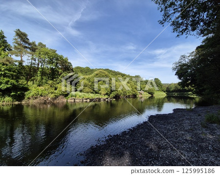 Highland Lake with Trees and Cloudy Sky 125995186