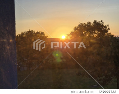 Dusk Atmosphere with Trees and Orange Sky Over Natural Landscape Dusk Atmosphere with Trees and Orange Sky Over Natural Landscape 125995188