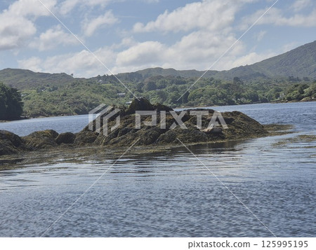 Mountain Lake Landscape with Trees and Clouds 125995195