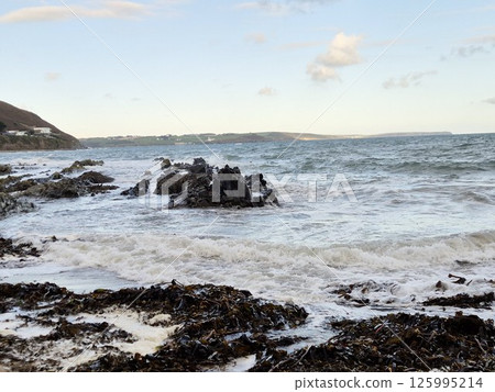 Cloudy Coastal Beach Landscape with Trees and Waves Cloudy Coastal Beach Landscape with Trees and Waves 125995214