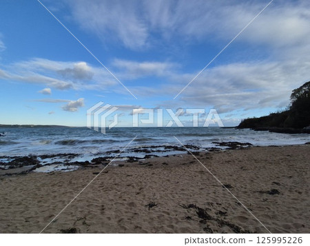 Coastal Landscape with Cumulus Clouds and Trees by the Beach Coastal Landscape with Cumulus Clouds and Trees by the Beach 125995226
