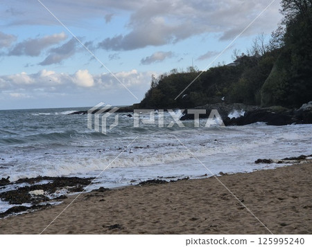 Coastal Highland Landscape with Water and Trees 125995240