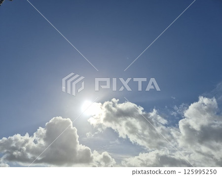 Cumulus Clouds in a Natural Landscape at Horizon Cumulus Clouds in a Natural Landscape at Horizon 125995250