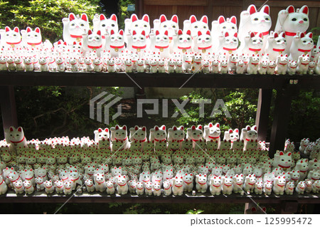 The lucky cat of Futatsukuji The lucky cat of Futatsukuji 125995472