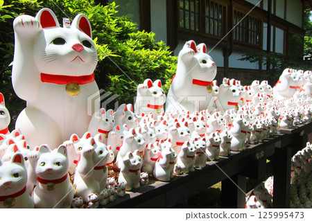 The lucky cat of Futatsukuji 125995473