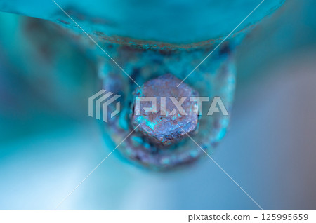 Rusted bolt Rusted bolt 125995659