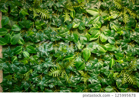 人造花牆 125995678