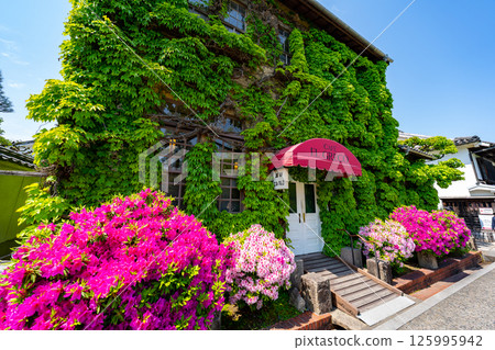 May 2025: A clear day in Kurashiki's Bikan Historical Quarter May 2025: A clear day in Kurashiki's Bikan Historical Quarter 125995942