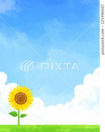 Sunflower and blue sky Sunflower and blue sky 125996087