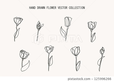 Collection of hand drawn outline garden flowers. Beautiful blooming elegant nature set of drawing botanical plants. Line art design 125996266