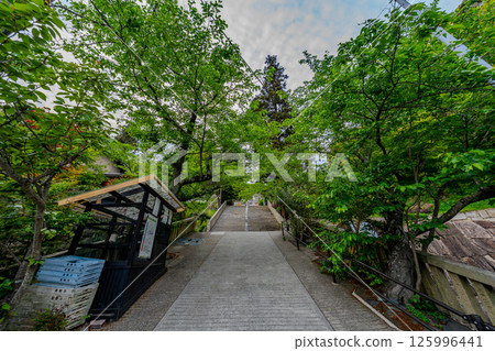 2025年5月岡山由香山的風景 2025年5月岡山由香山的風景 125996441