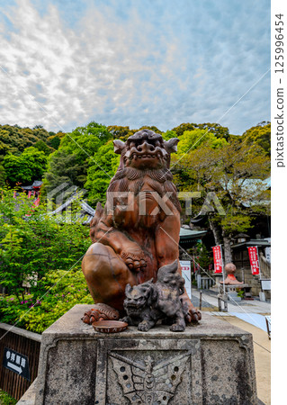 May 2025 Scenery of Mount Yuka in Okayama 125996454