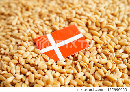 Denmark flag on grain wheat, trade export and economy concept. Denmark flag on grain wheat, trade export and economy concept. 125996633