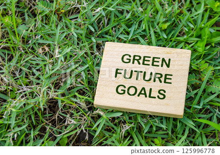 Green Future Goals text on wooden block with customizable space for text. For a greener tomorrow concept. 125996778